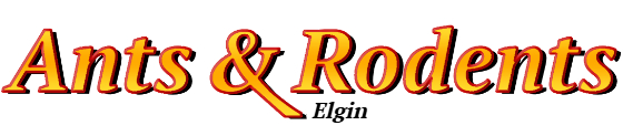 Elgin Ant Exterminator & Rodent Control Company Logo